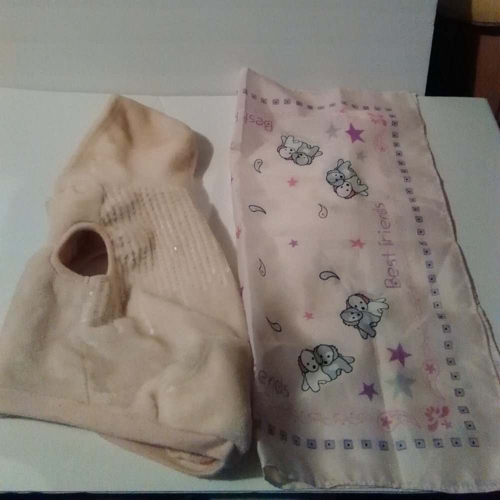 greeat Choice Dog Hoodie  with scraf